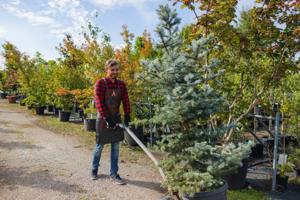 Best Firewood Processing and Delivery  in East Williston, NY